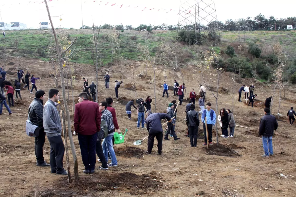 Basın Şehitleri Sebahattin ve Cem'in Adı Hatıra Ormanında Yaşayacak