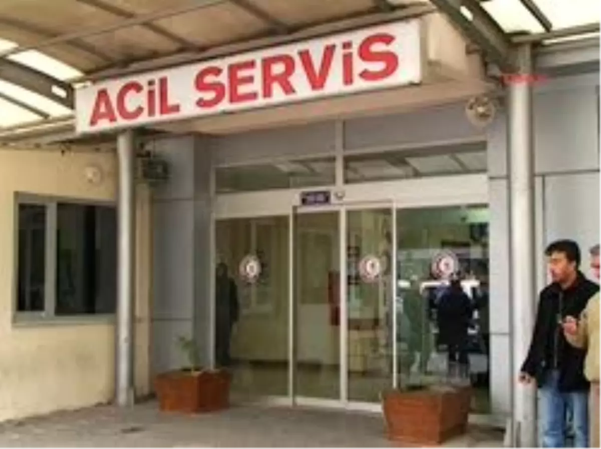 Anzak Torununun Organı Can Verecek