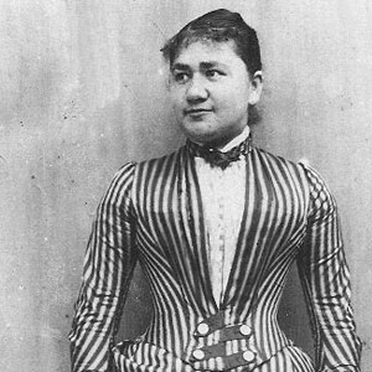 Sanal Alemde Küçük İbo Geyiği