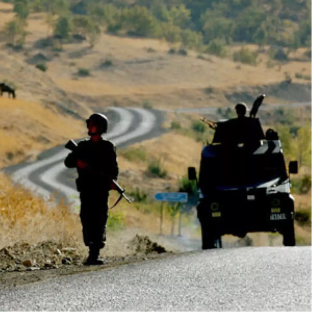 Bedelli Bazılarını Üzecek
