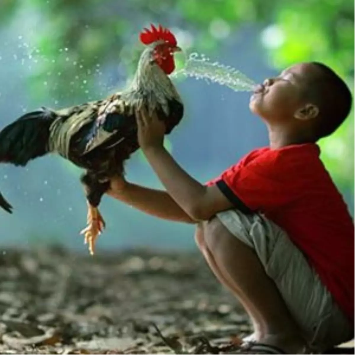 Asya'dan Çarpıcı Fotoğraflar