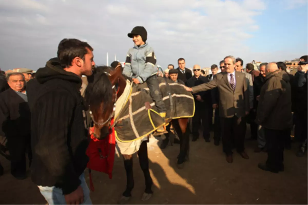 Rahvan Atlar Bin Yıllık Gelenek İçin Koştu