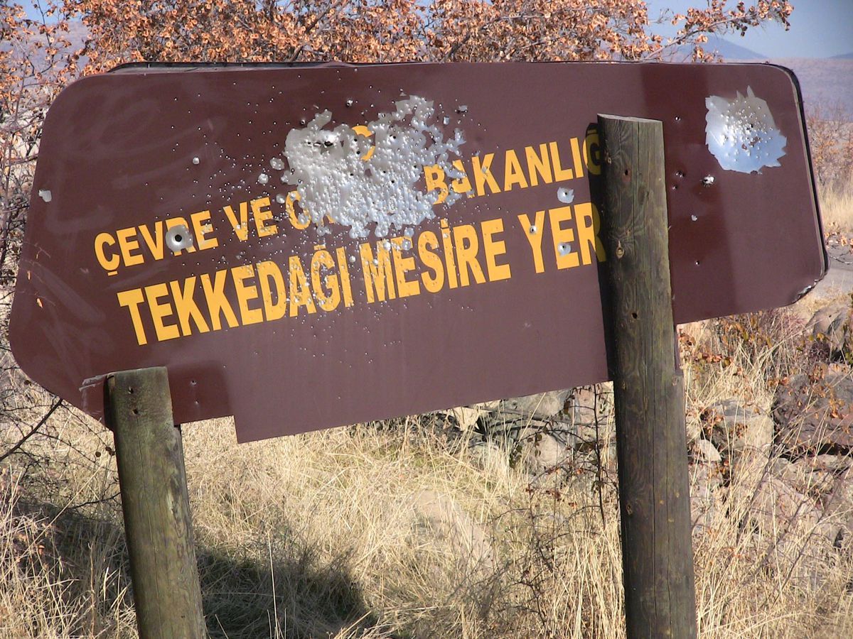 Tabelalar Magandaların Hedef Tahtası