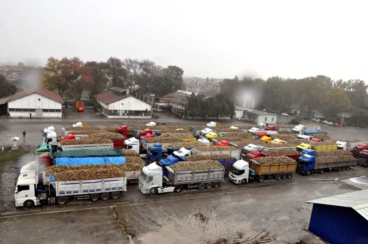 Adapazarı Şeker Fabrikası\'na Pancar Kotası Şoku