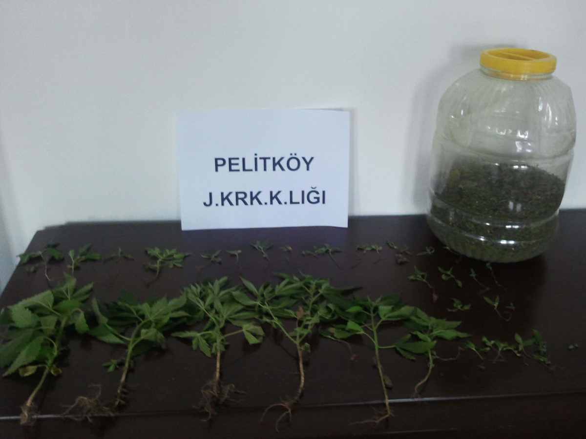 Çocuklara Esrar Satan 2 Kişi Tutuklandı