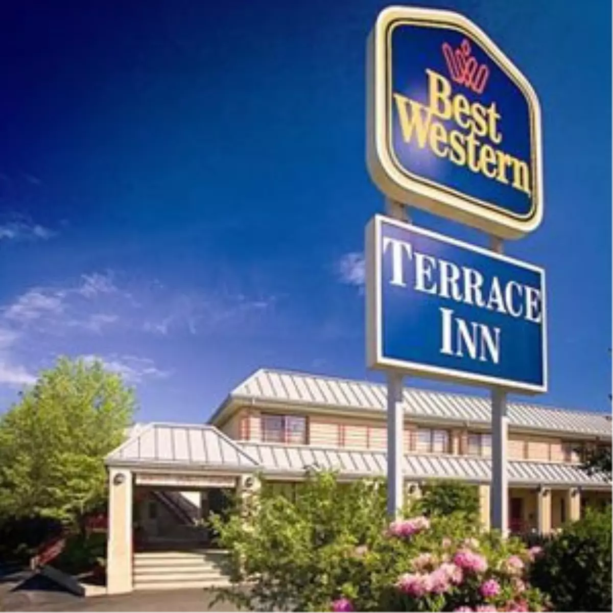 Thy, Best Western ile İşbirliği Gerçekleştirdi