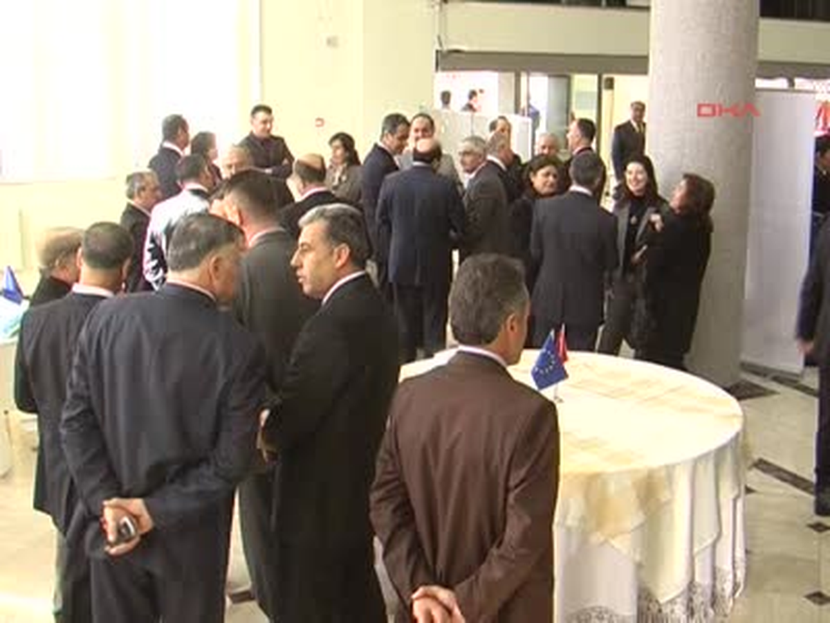 Avrupa Birliği'nde Aşık Veysel Kriteri