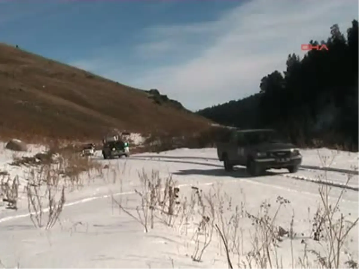 Yavru Kurtlar Doğaya Bırakıldı