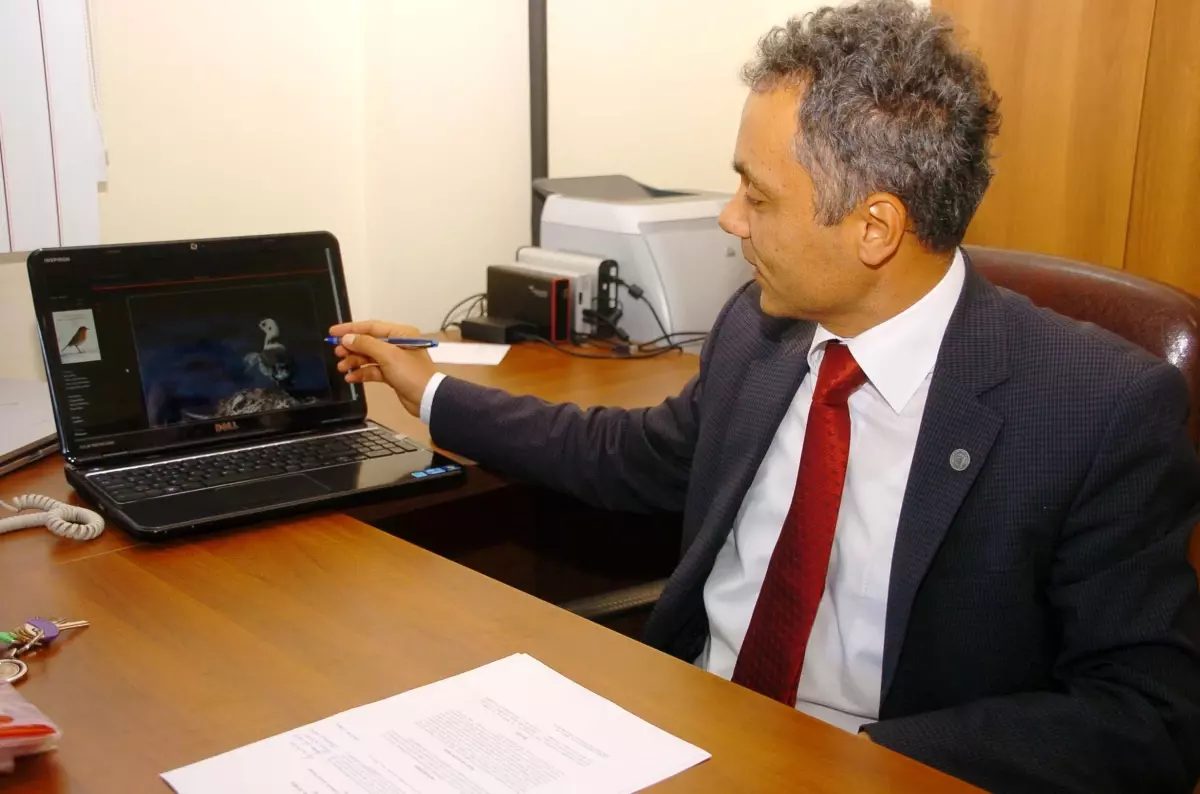 Zonguldak, Kuş Türü Zengini İlk 10 İl Arasında