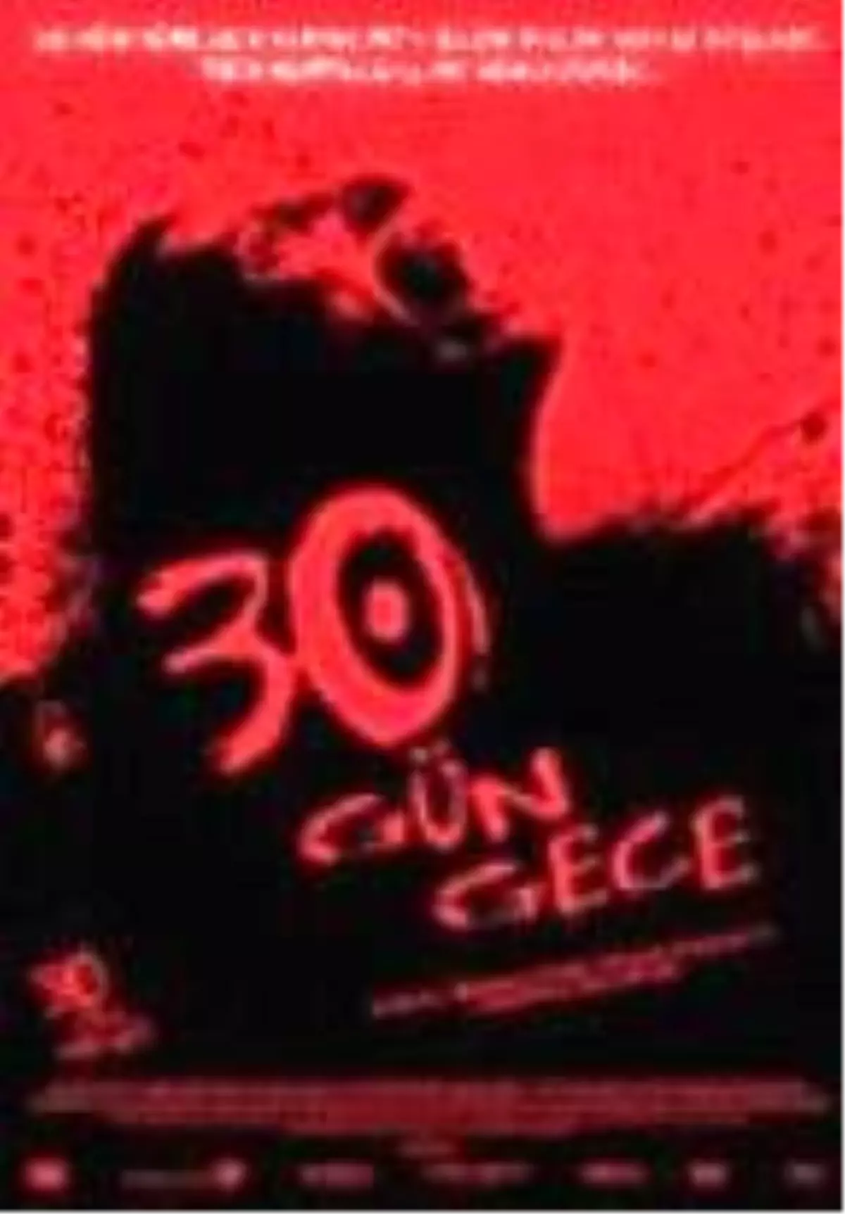 30 Gün Gece Filmi