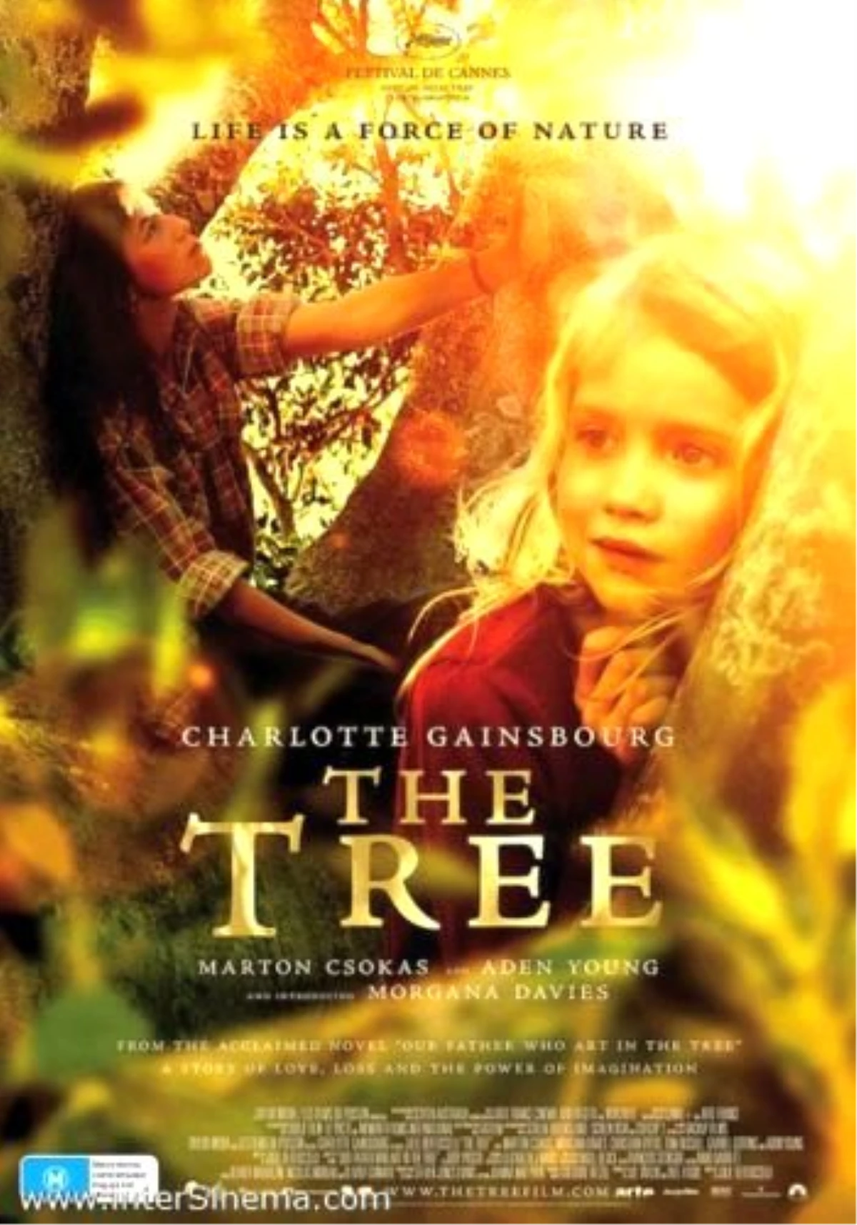 Ağaç Filmi