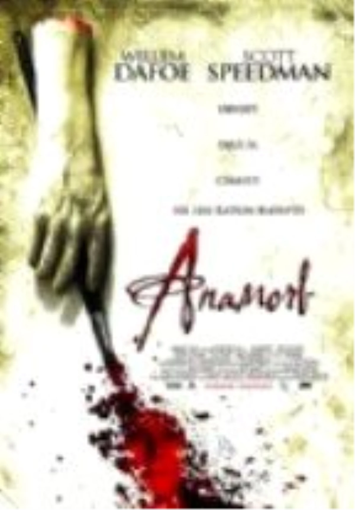 Anamorph Filmi