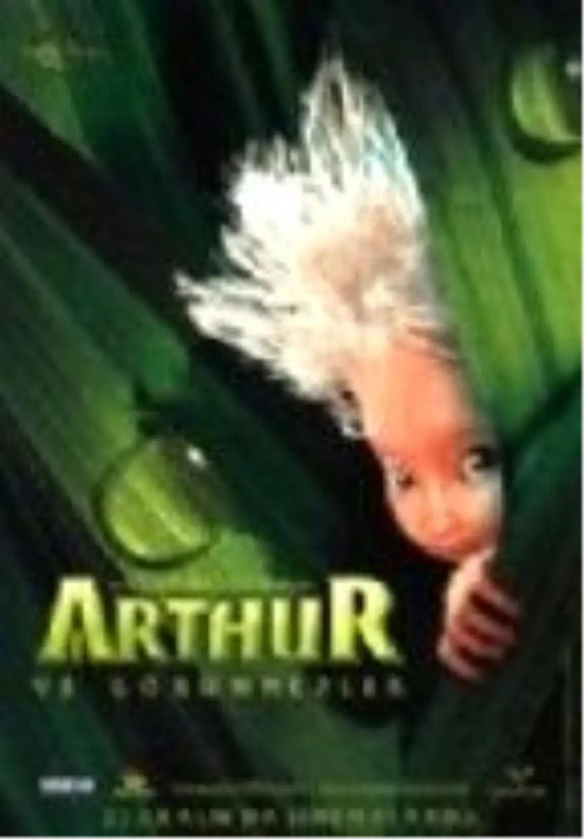 Arthur ve Minimoylar Filmi