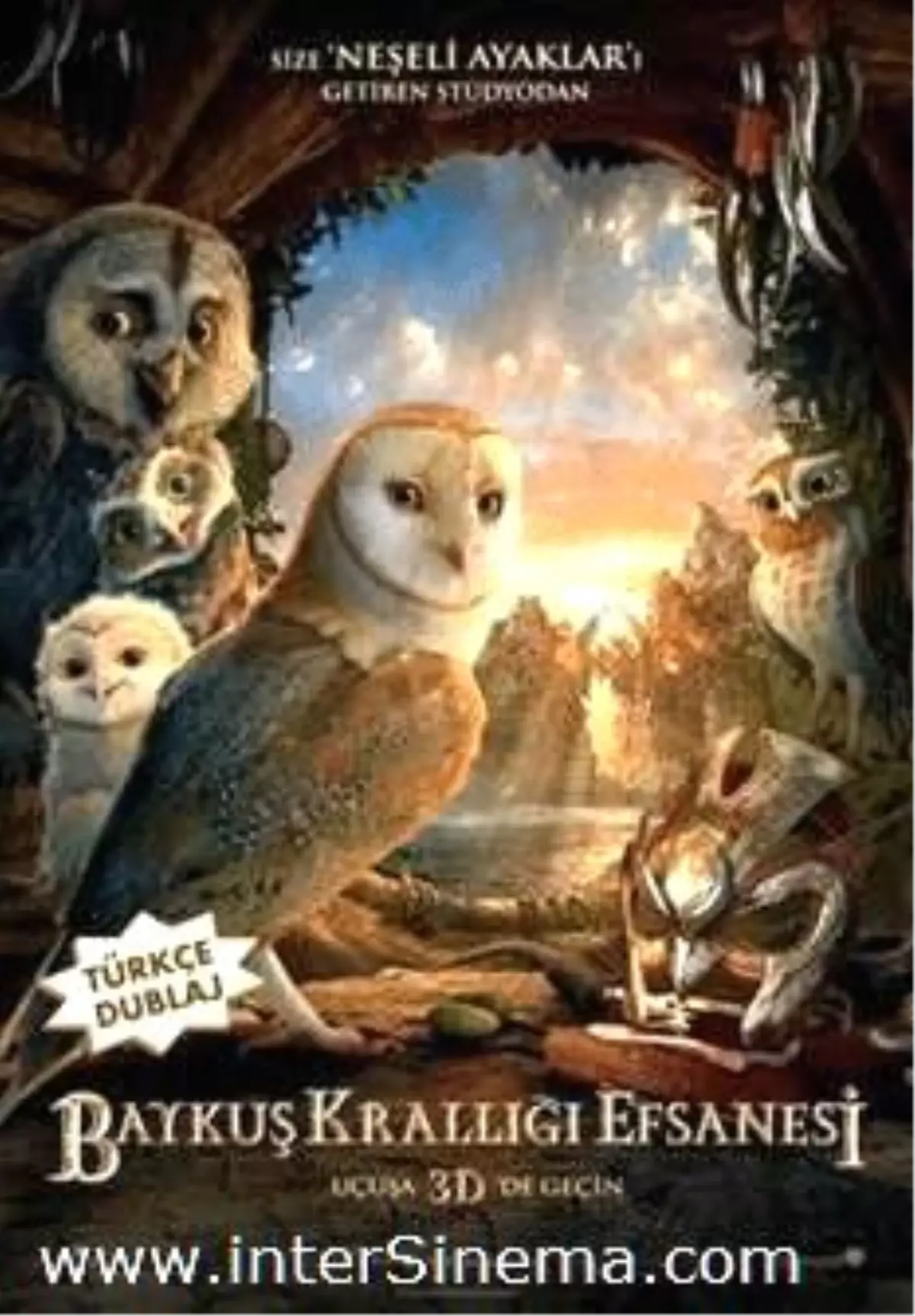 Baykuş Krallığı Efsanesi Filmi