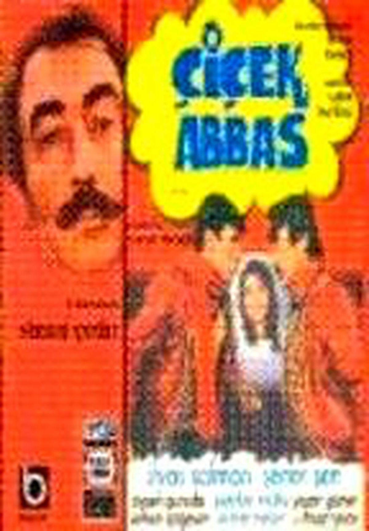 Çiçek Abbas Filmi