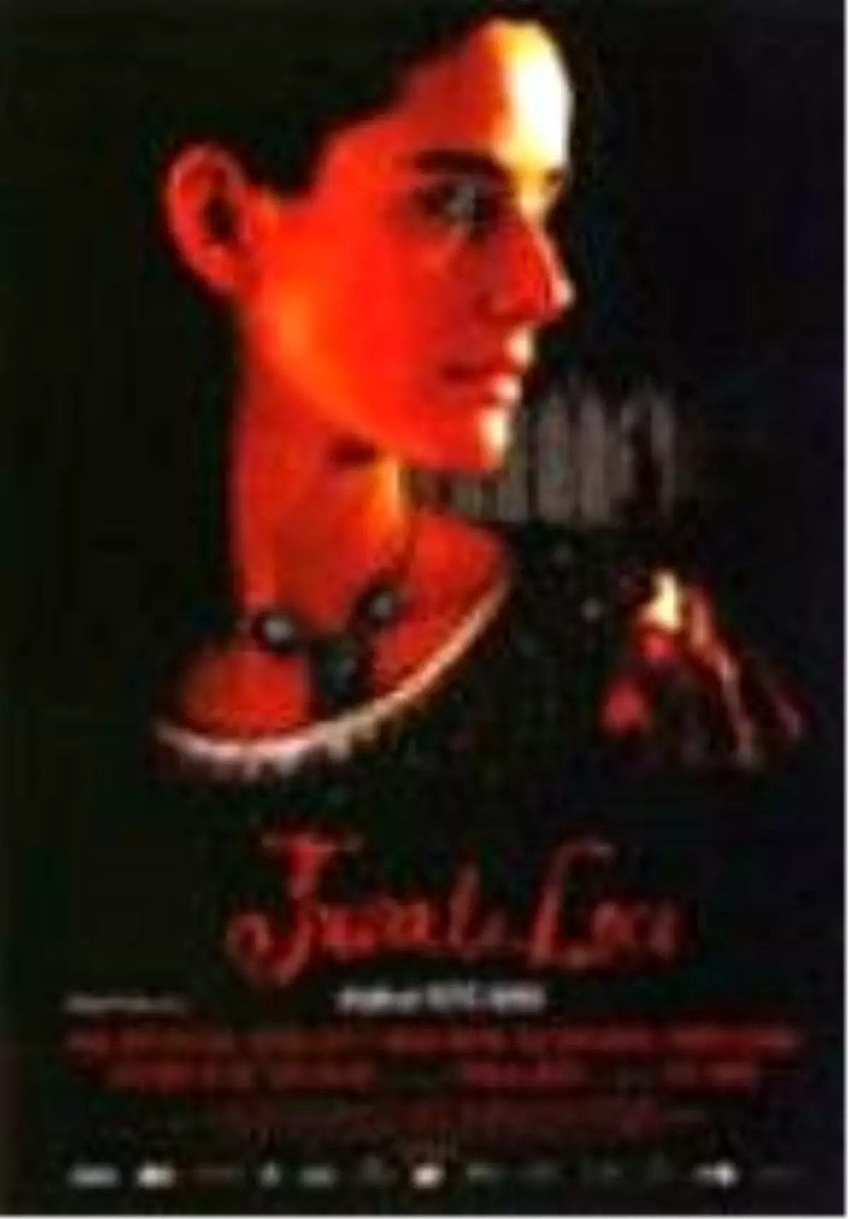 Çılgın Aşk Filmi