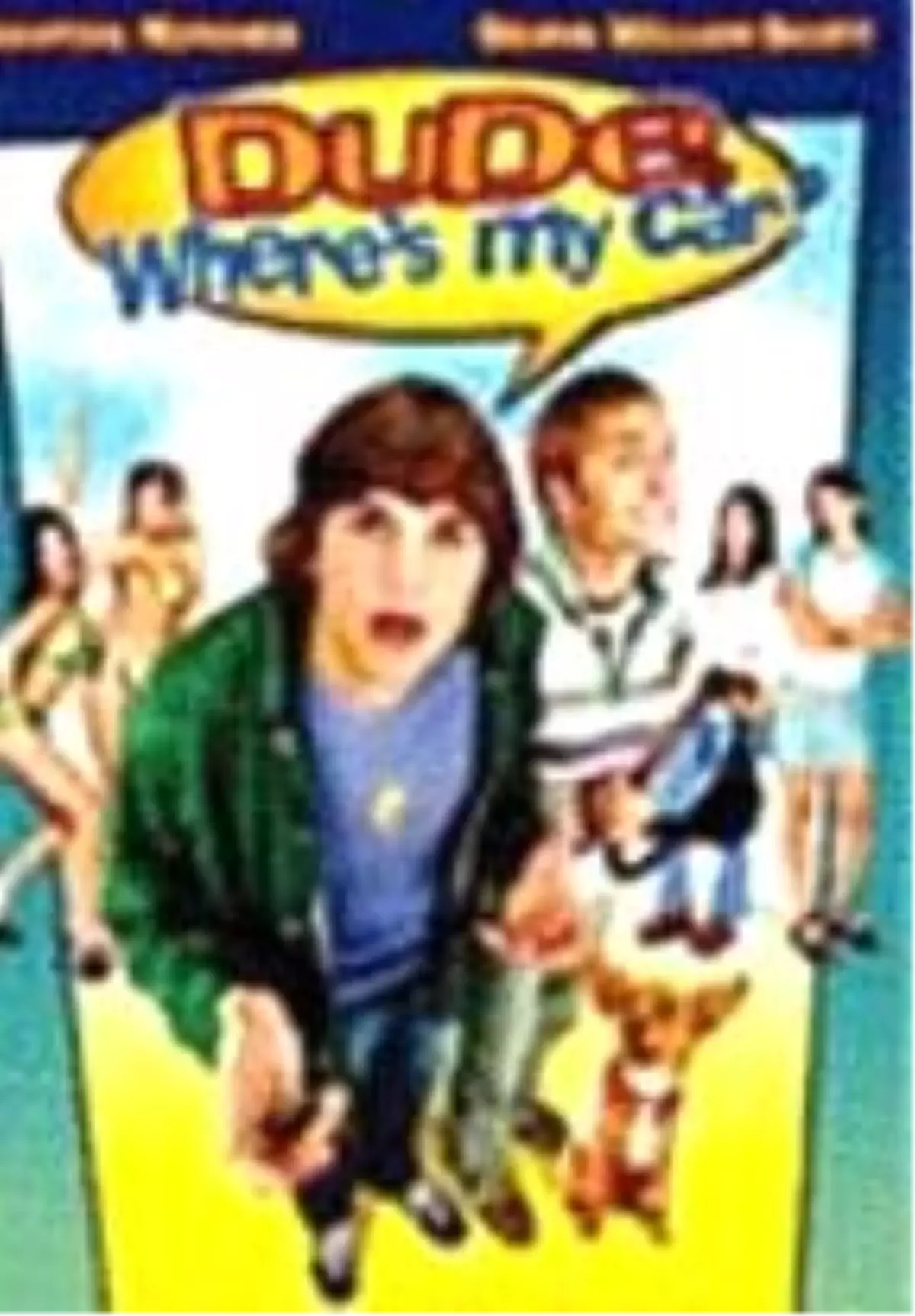 Çılgınlar ve Sevgililer Filmi