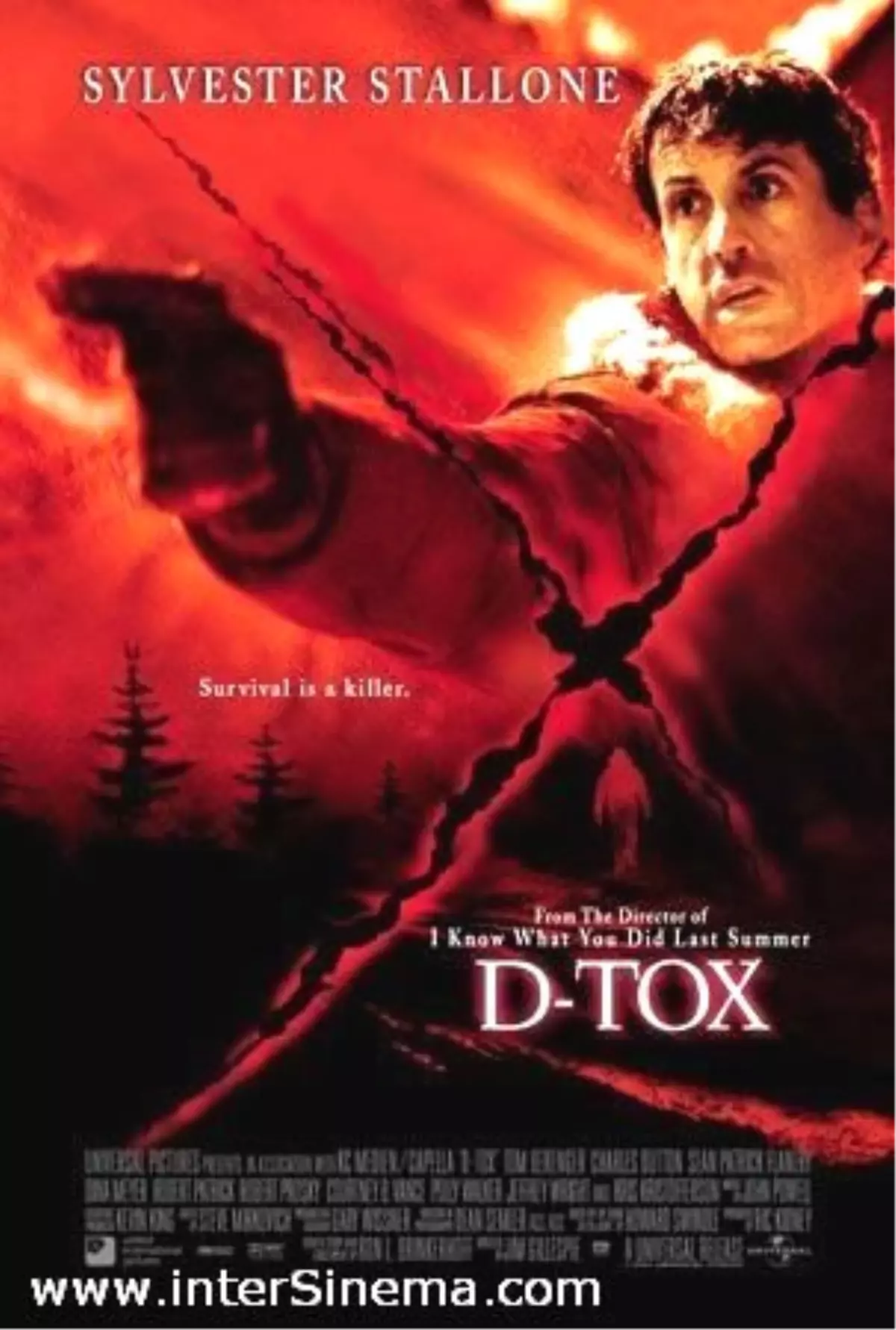 D-Tox Filmi