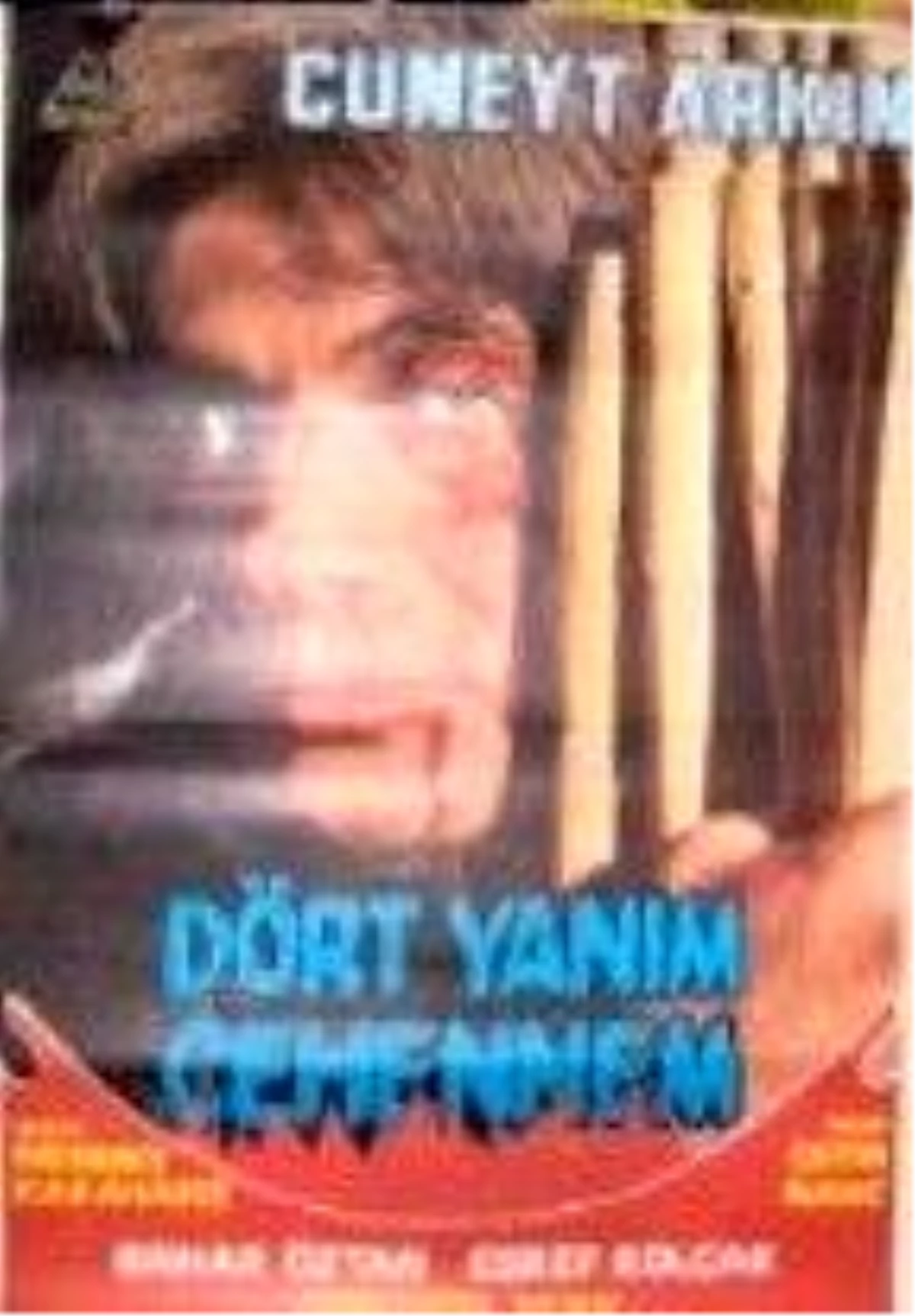 Dört Yanım Cehennem Filmi