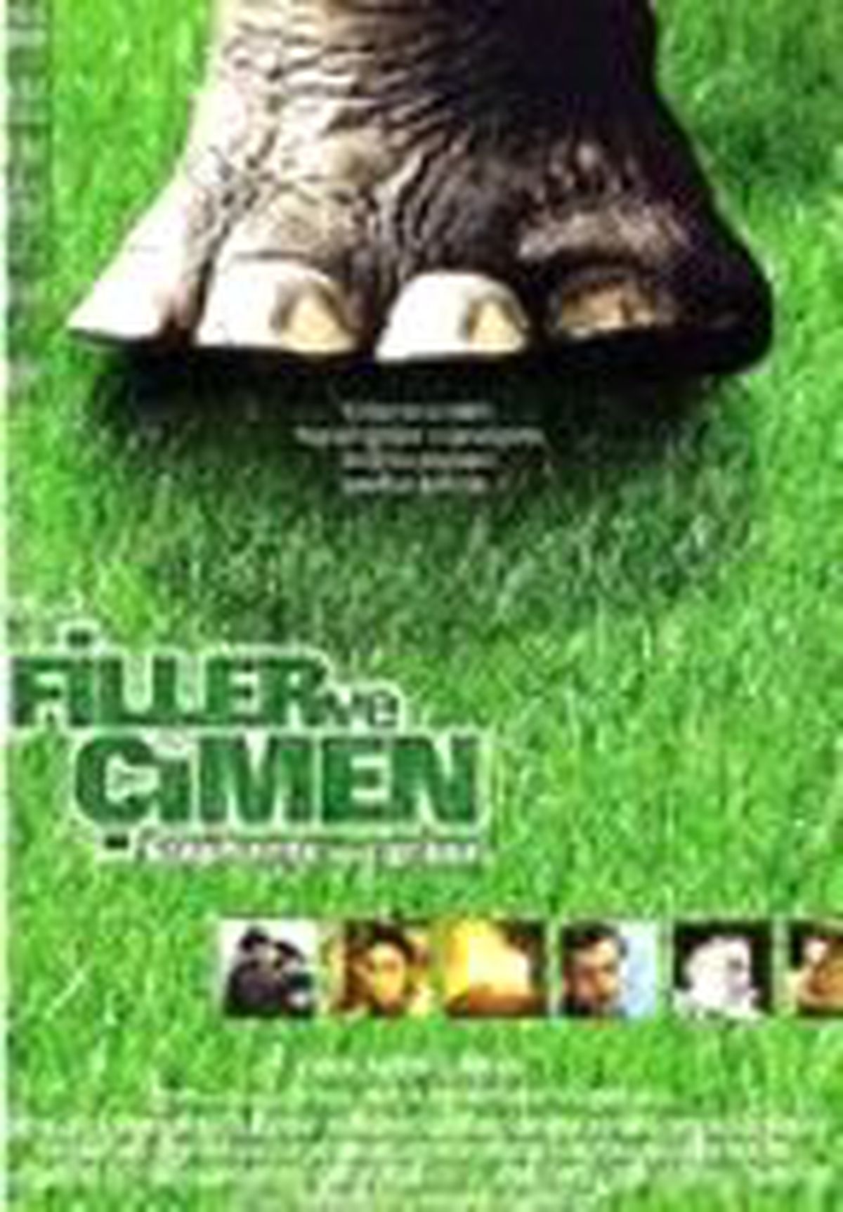 Filler ve Çimen Filmi