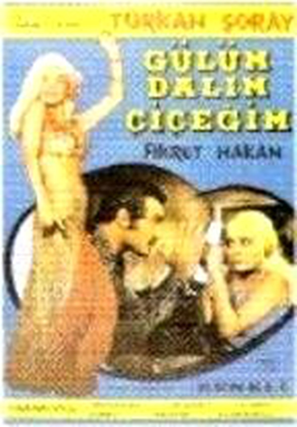 Gülüm Dalım Çiçeğim Filmi