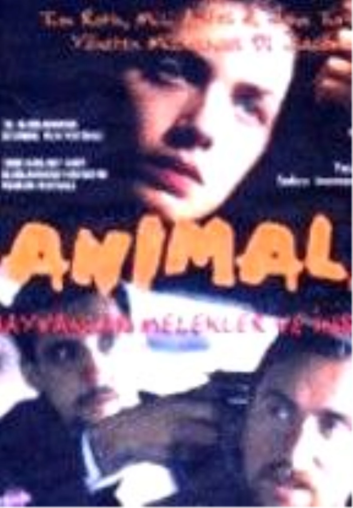 Hayvanlar Melekler ve İnsanlar Filmi