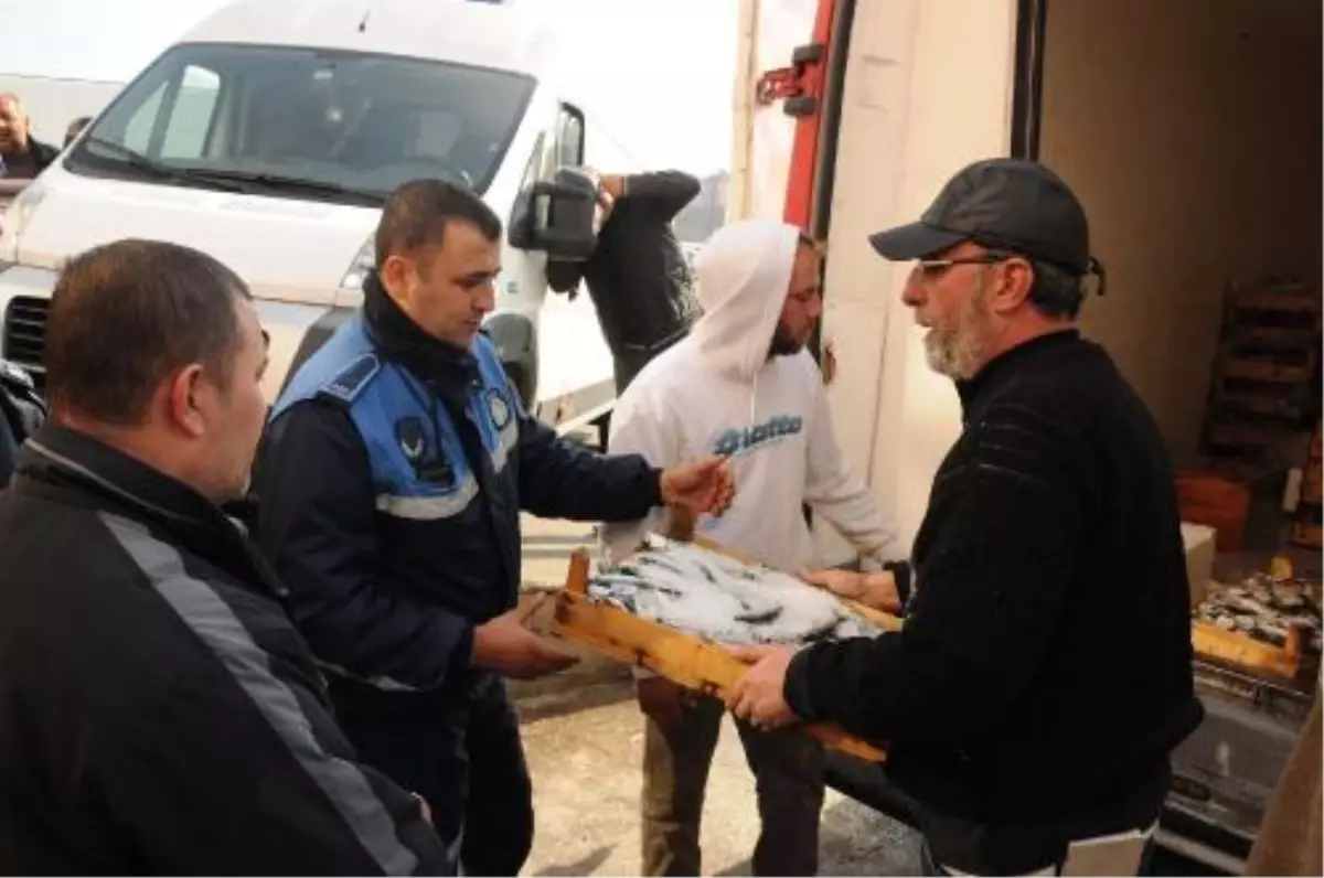 Kaçak Avlanan 11 Kasa Çinekopa El Konuldu