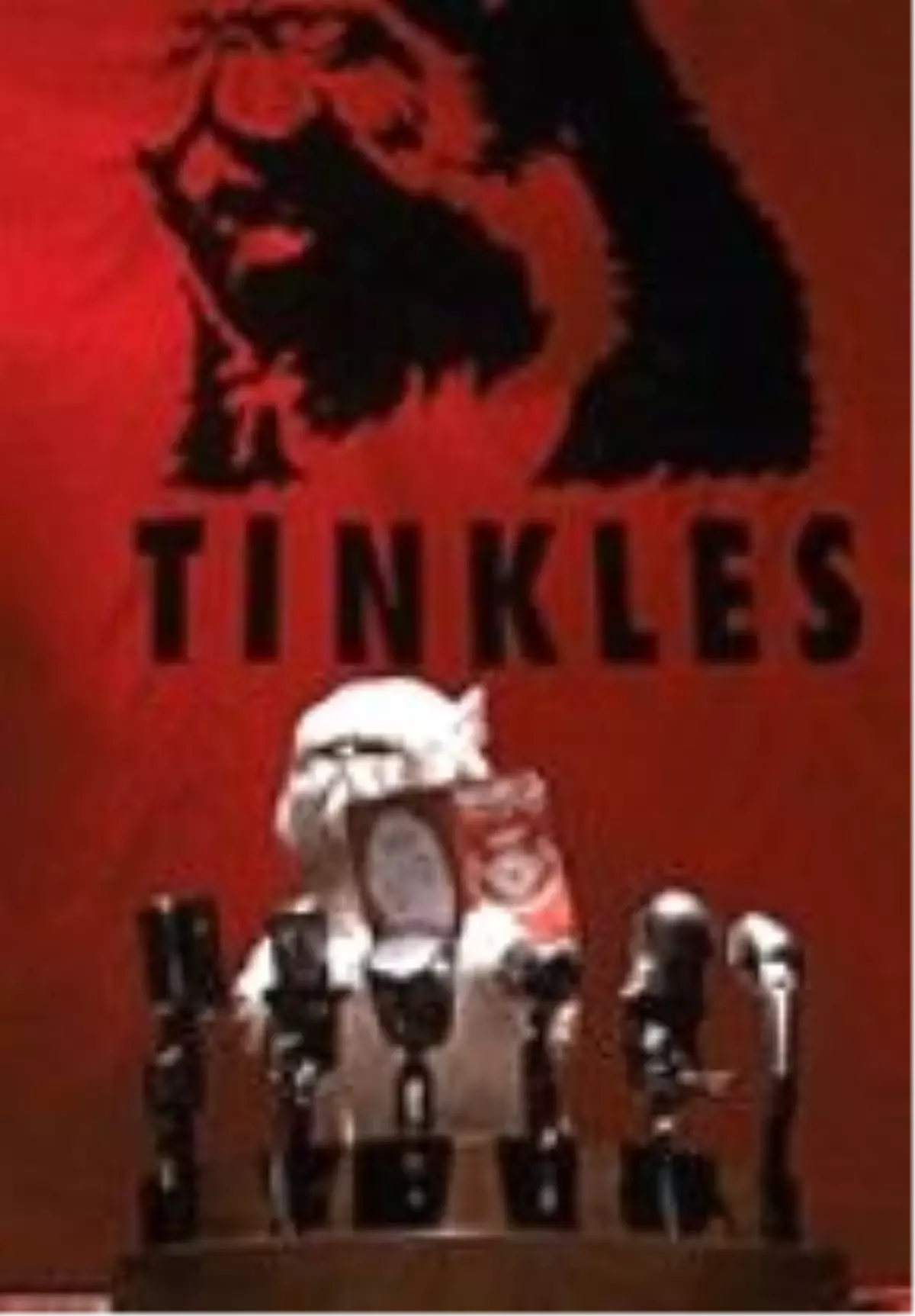 Kediler ve Köpekler Filmi