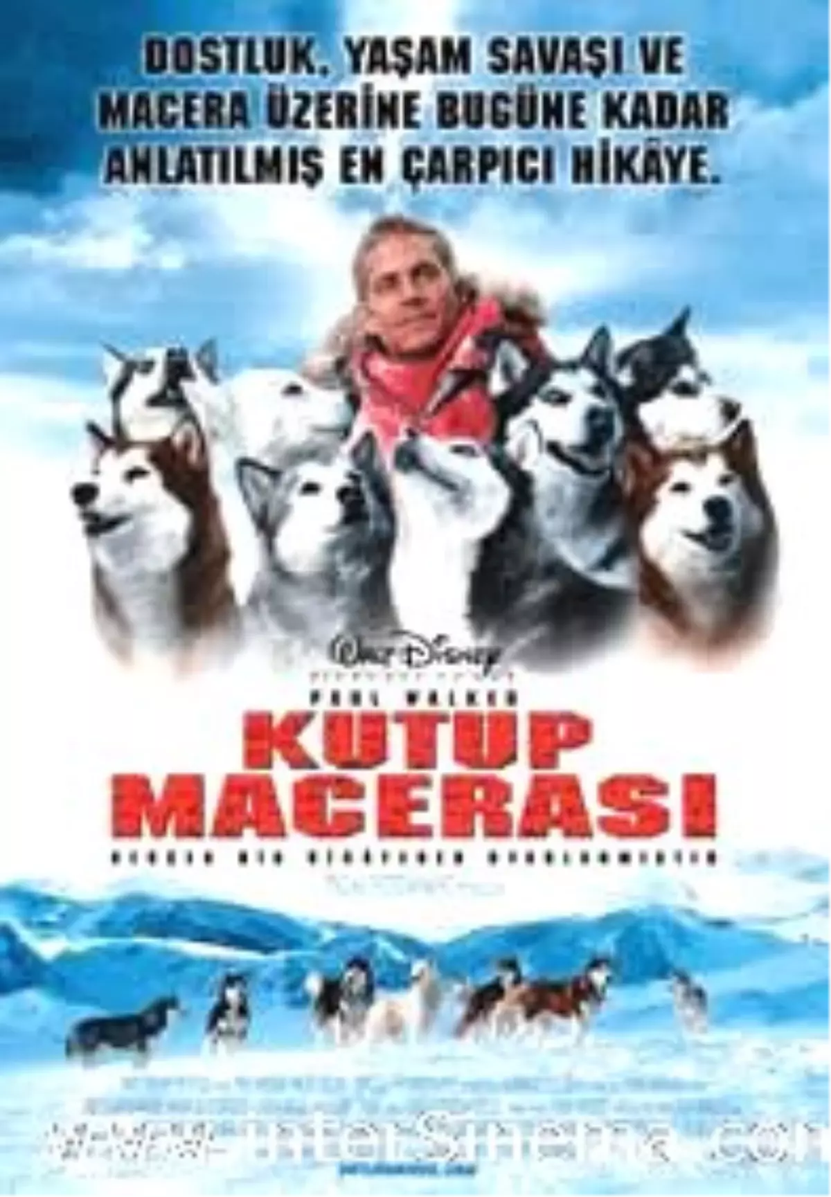 Kutup Macerası Filmi