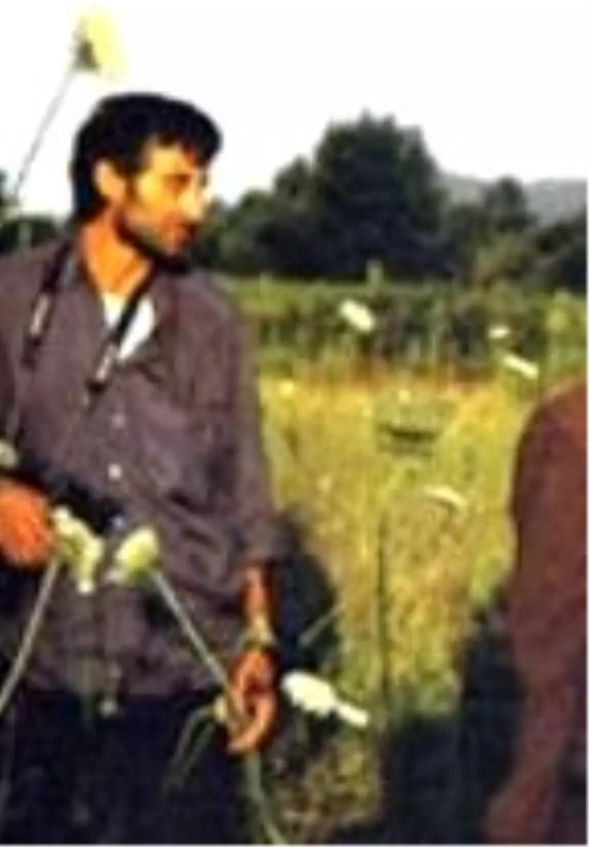 Mayıs Sıkıntısı Filmi