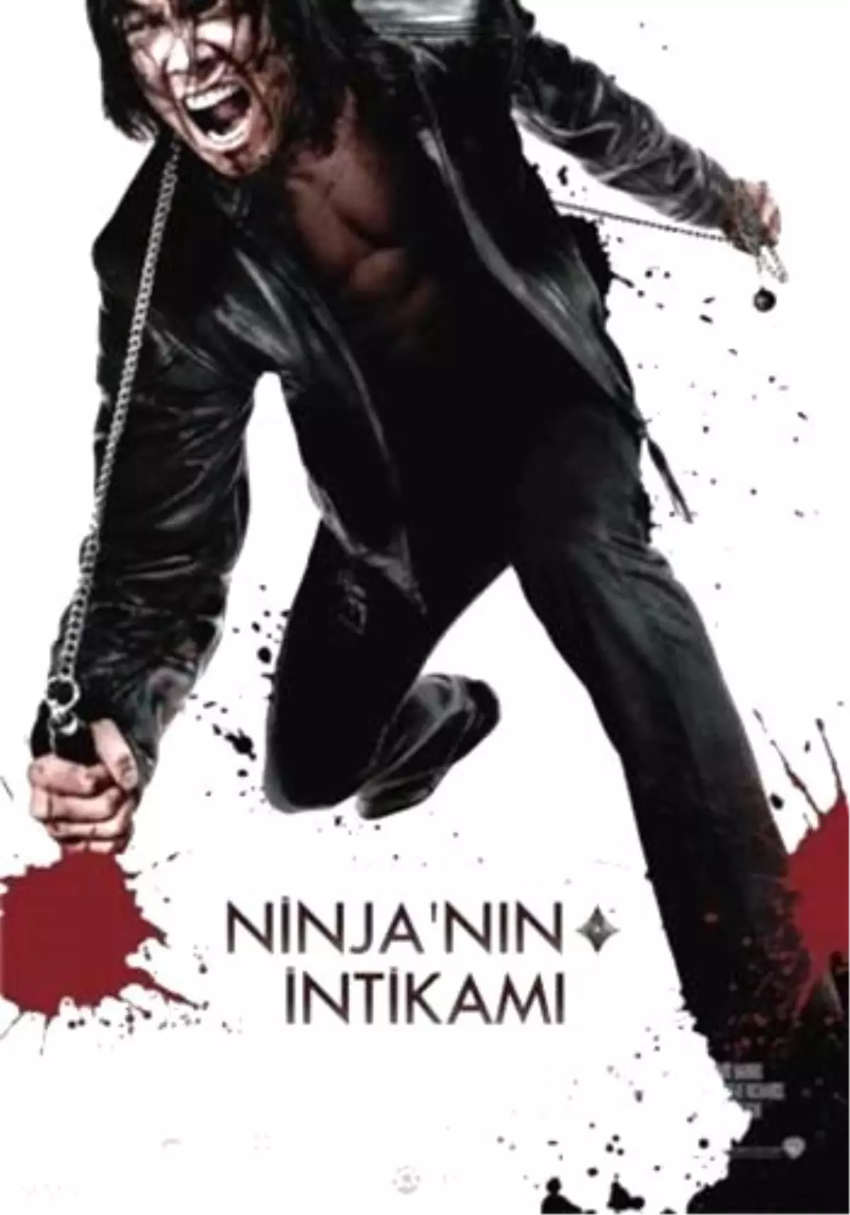 Ninja\'nın İntikamı Filmi