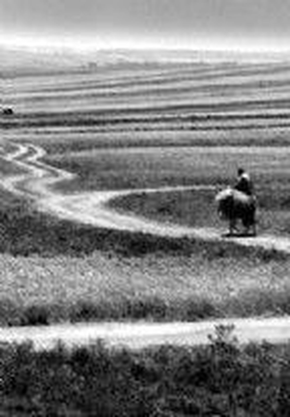 Roads of Kiarostami Filmi