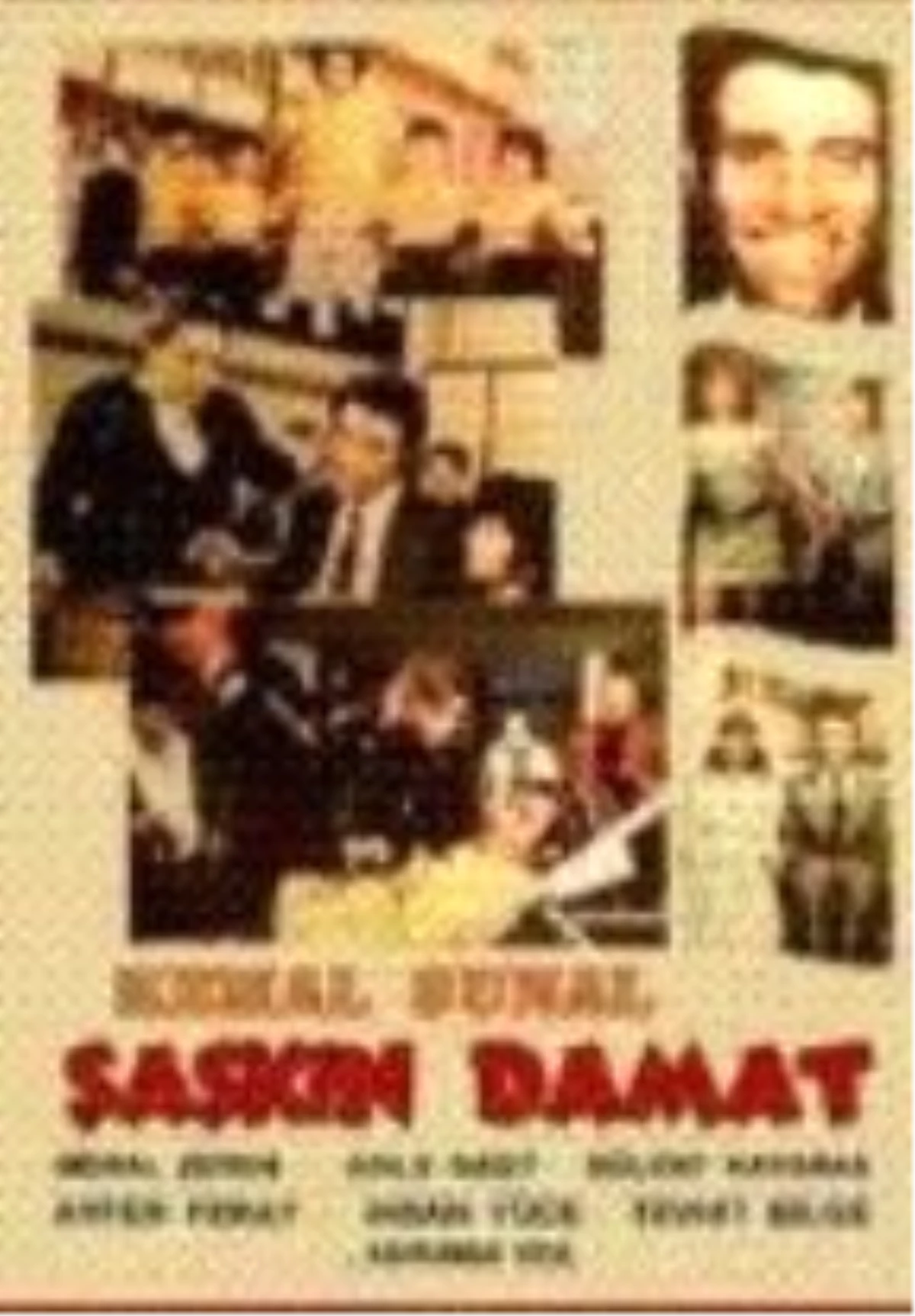 Şaşkın Damat Filmi