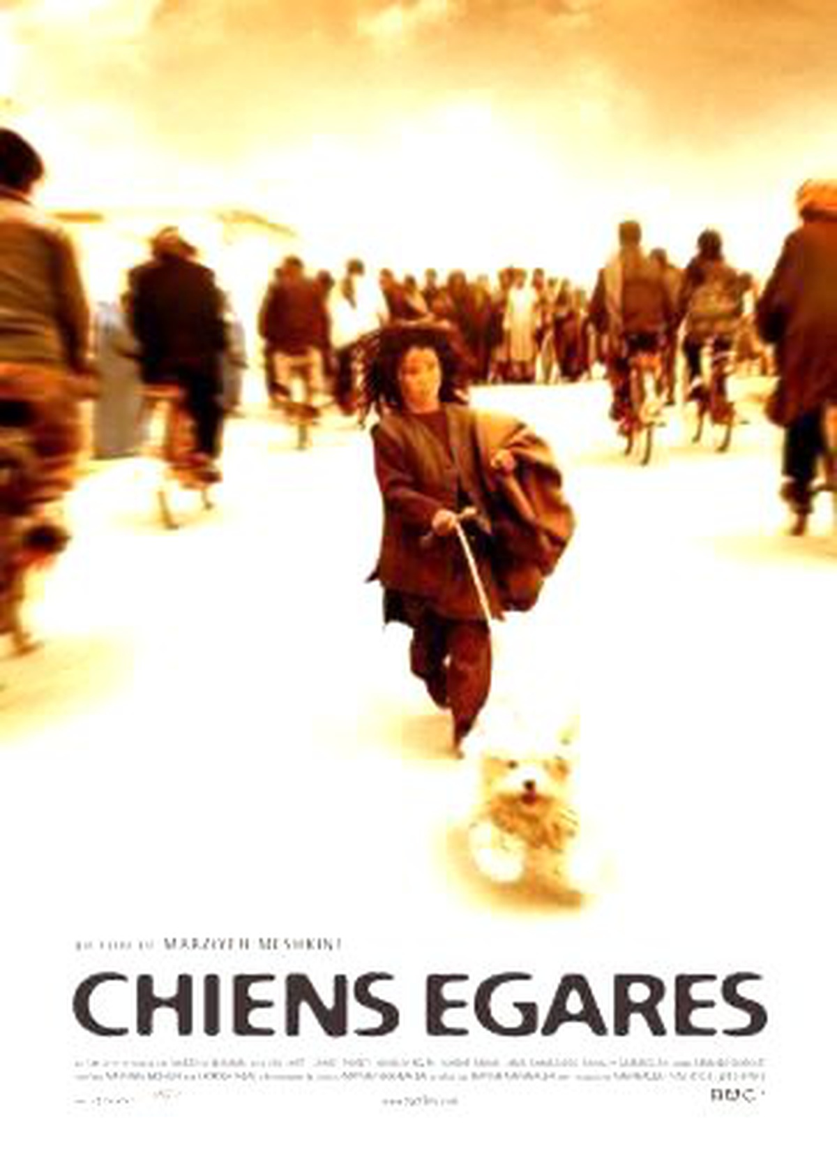 Şaşkın Köpekler Filmi