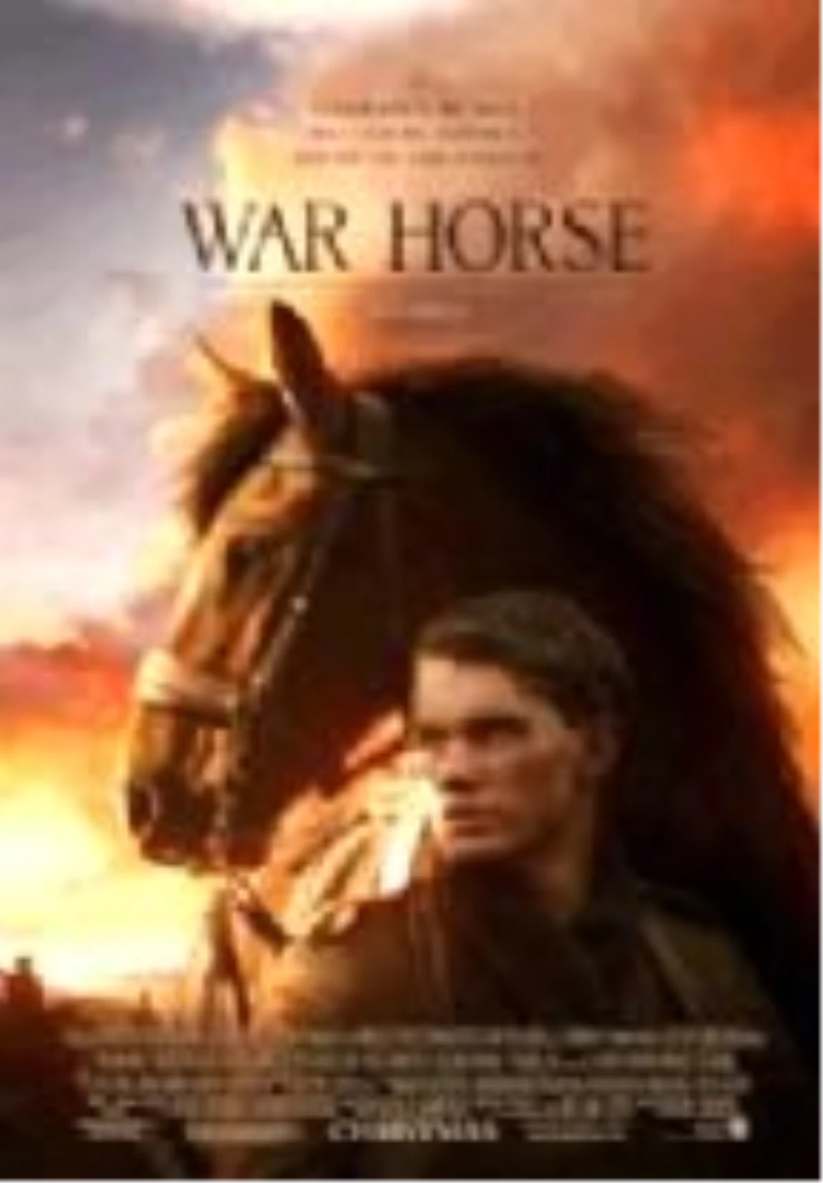 Savaş Atı Filmi