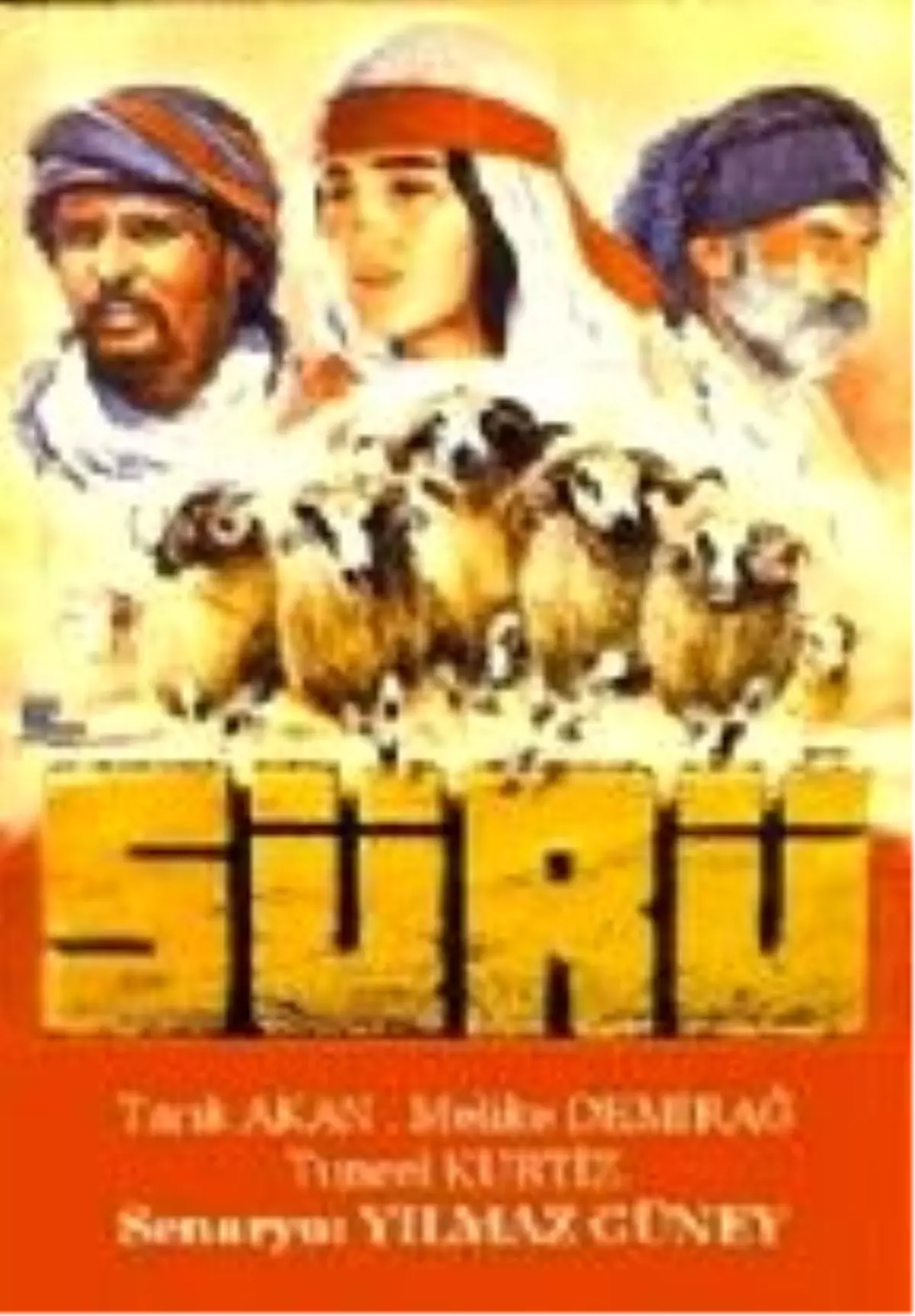 Sürü Filmi