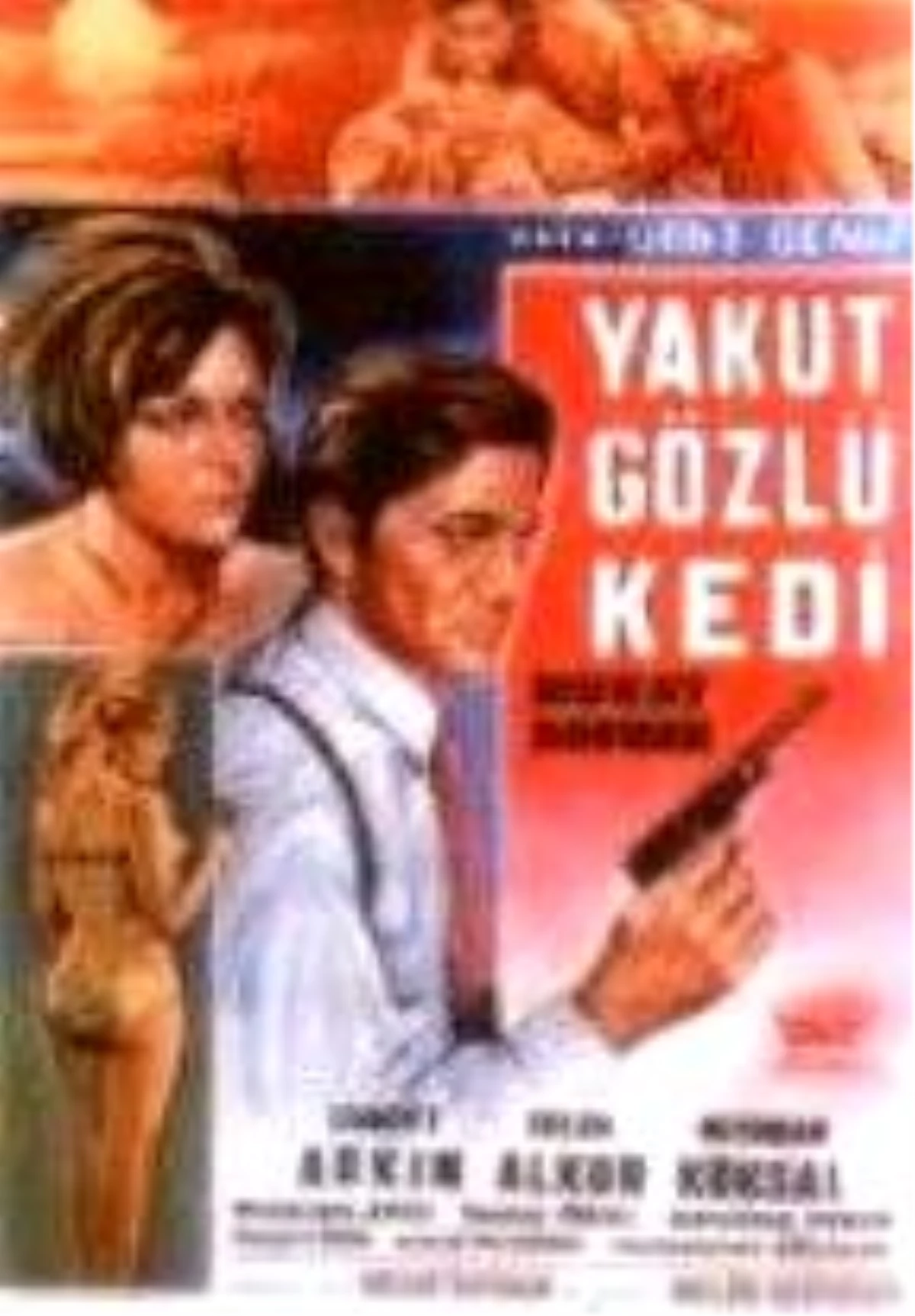 Yakut Gözlü Kedi Filmi