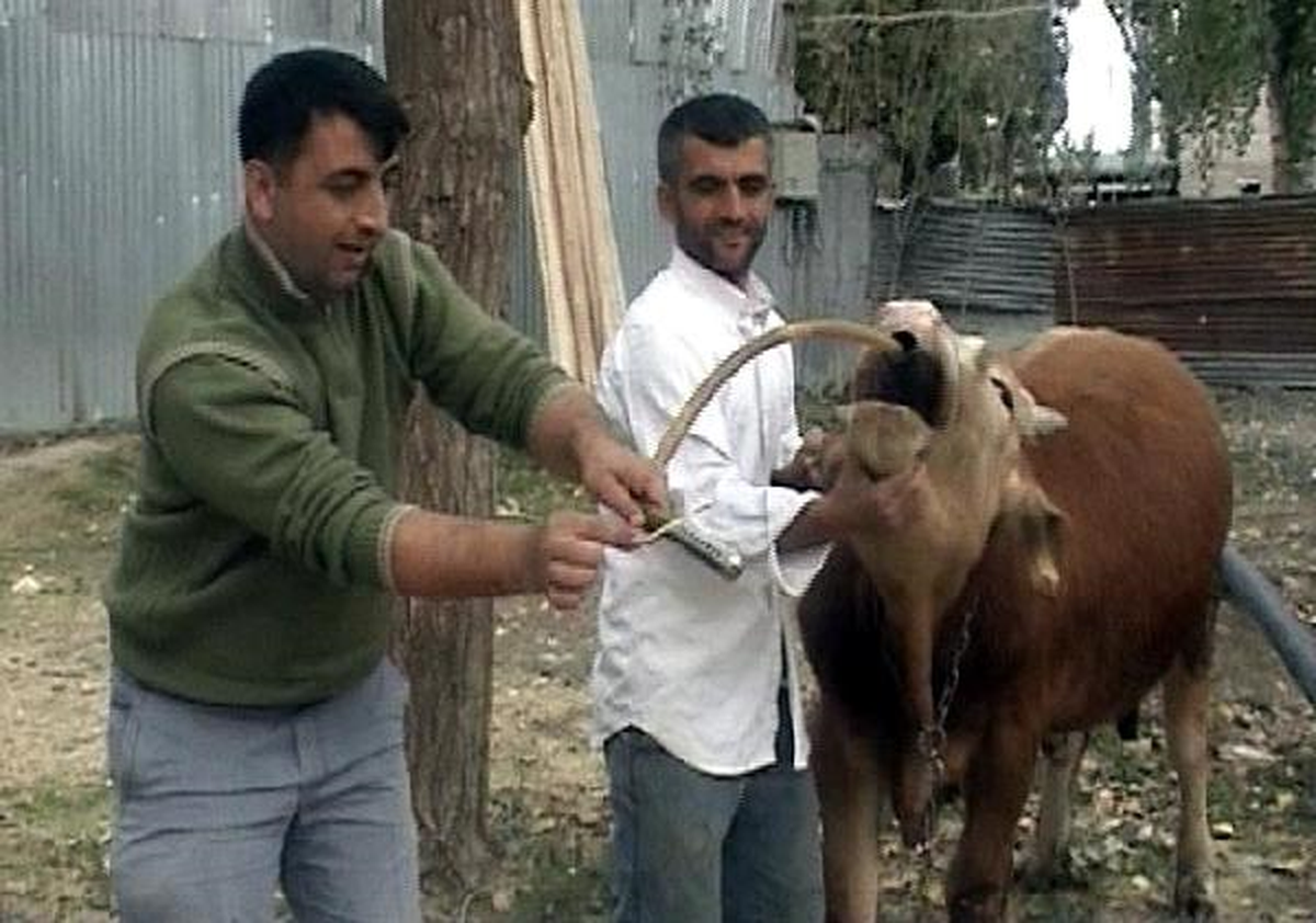 İzleyin! Şok Olacaksınız!