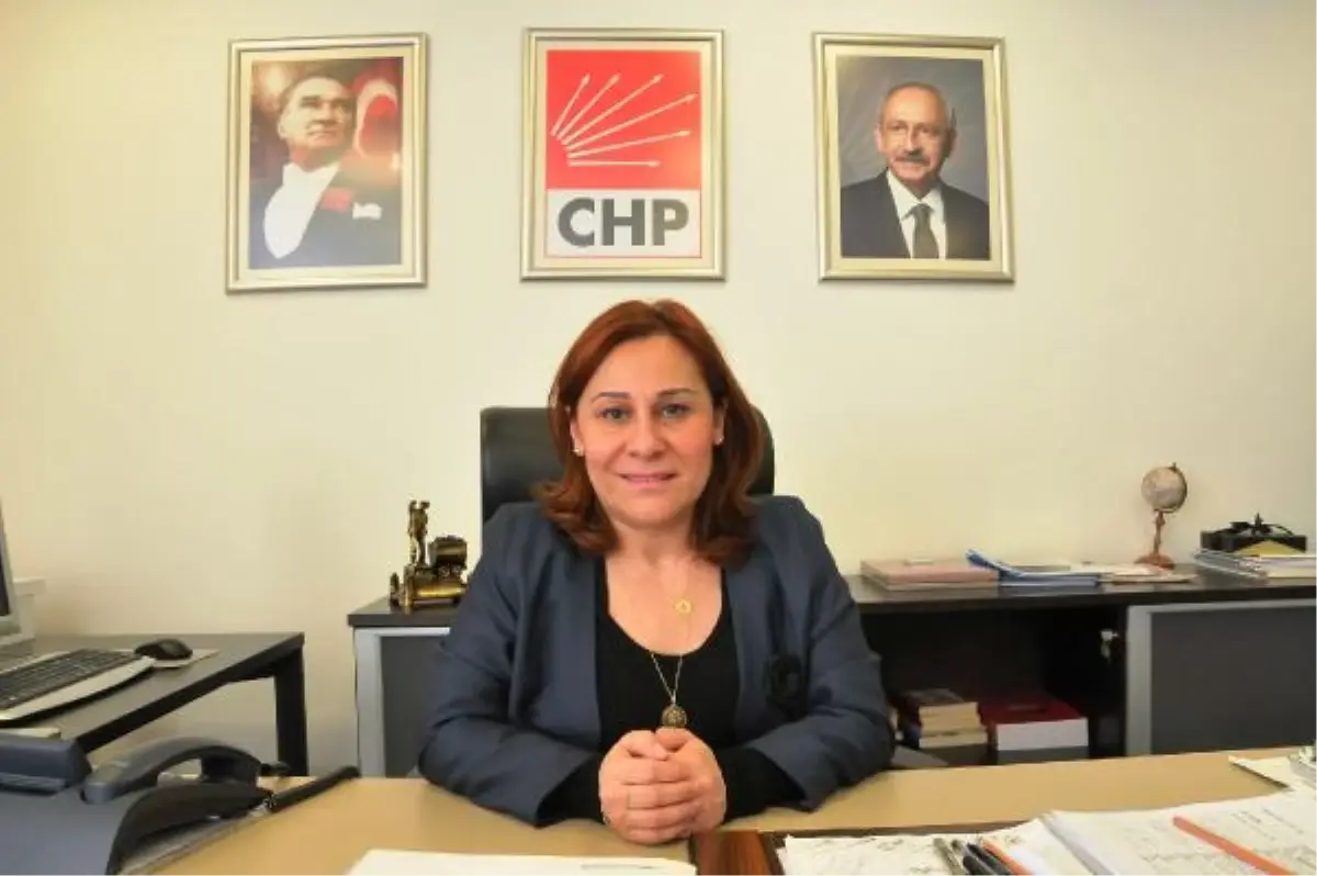 CHP\'li Kaleli, 3 Günde Söndürülen Yangını Bakan Eroğlu\'na Sordu