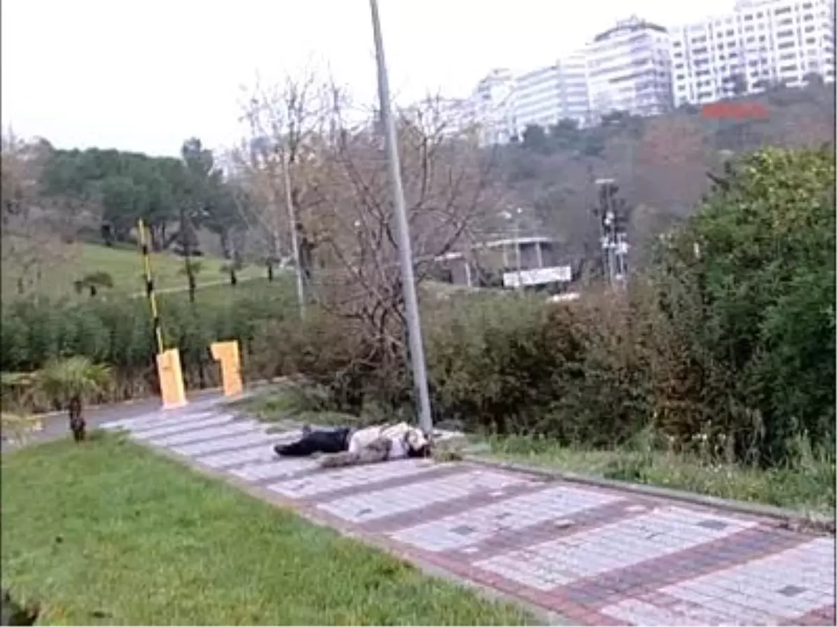Maçka Parkı'nda Cinayet