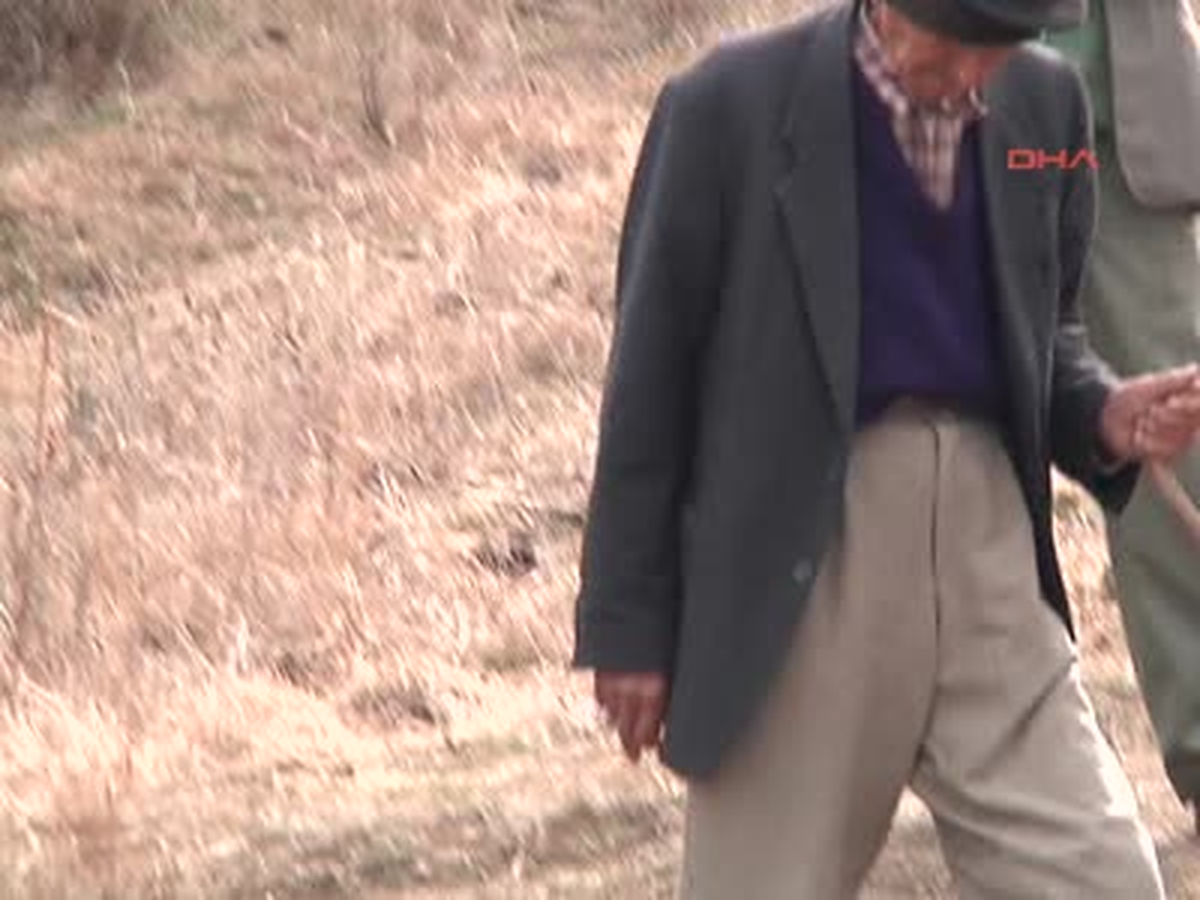 Aydın ) Çineli Köylülerin Kurt Korkusu