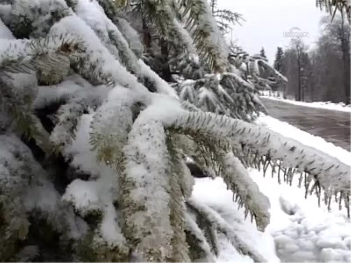 Kar Konya\'ya Yunak ve Çeltik\'ten Giriş Yaptı