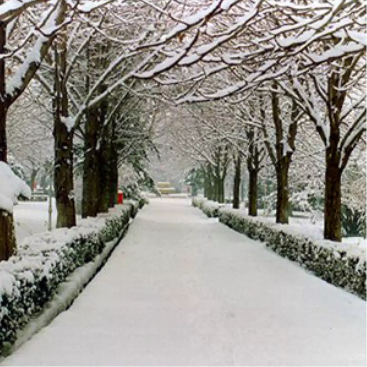 Yoğun Kar Yağışı Bursa-Ankara Yolunu Trafiğe Kapadı (2)
