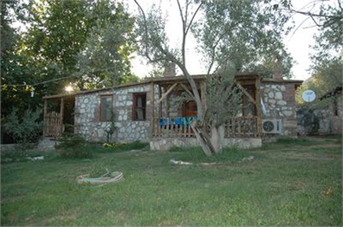 Yeni Yıla 'Pavel'in Yeri'nde Girin