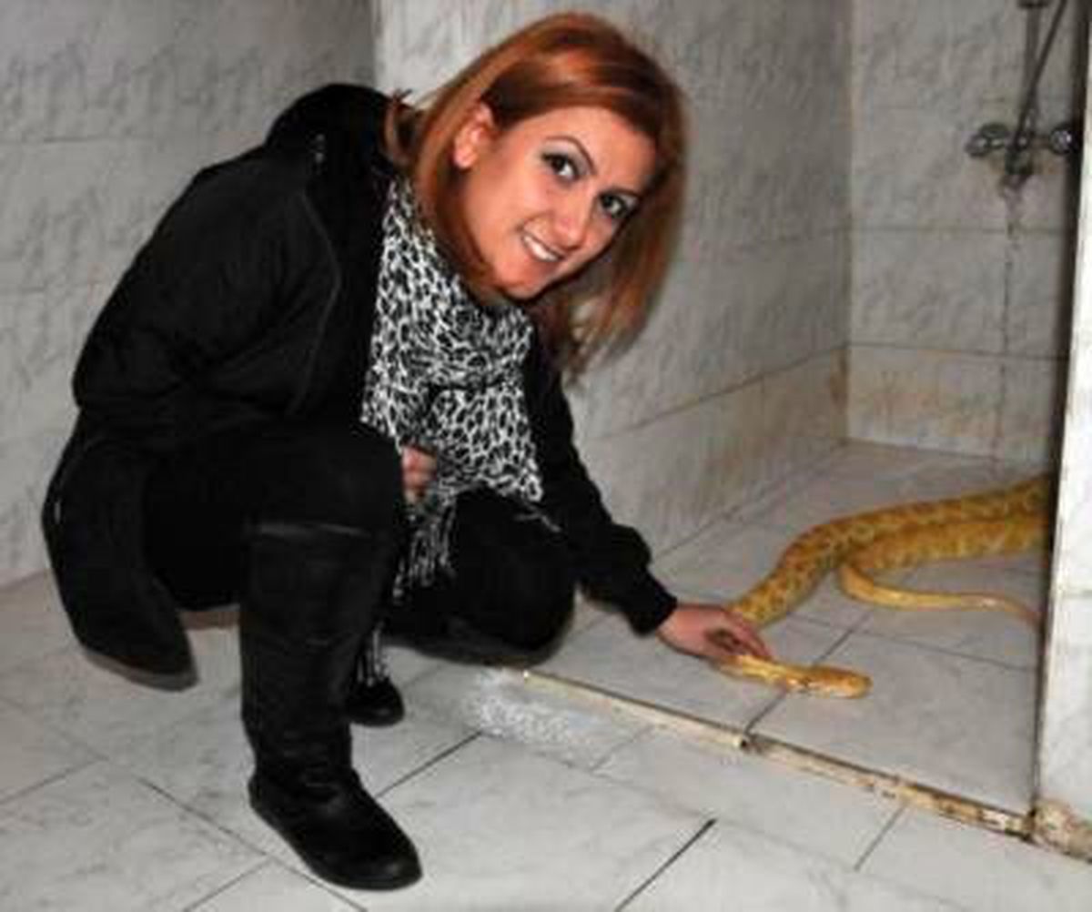 Sirkteki Piton Yılanı, Sivas'ın Soğuğuna Dayanamadı