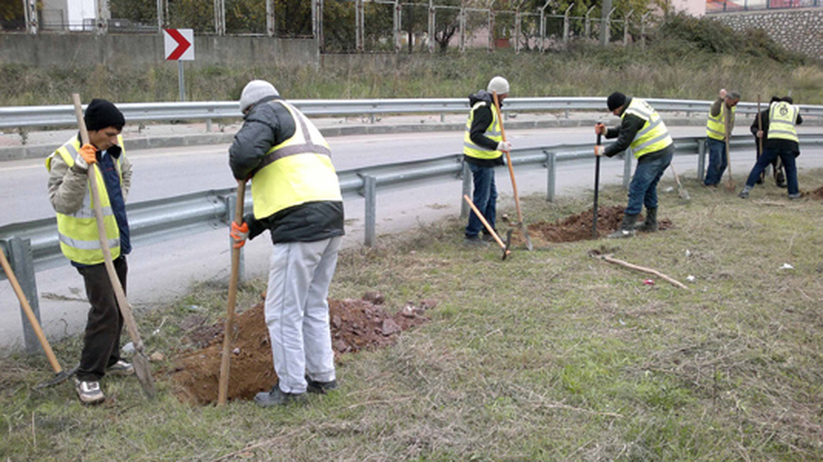 Tüpraş Kavşağı'na 18 Bin Ağaç