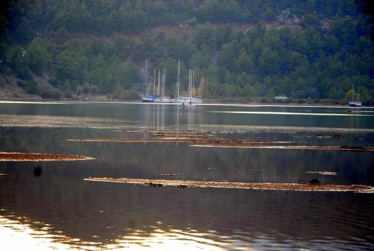 'Korkmayın, Marmaris'te Deniz 40 Metre Bile Çekilebilir'