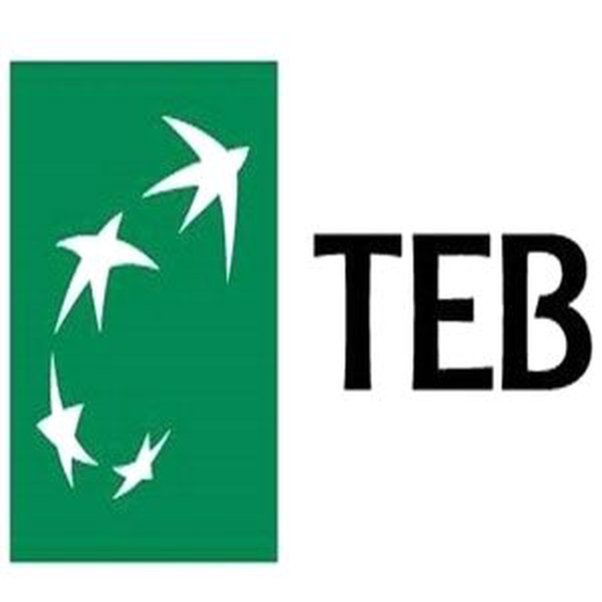 Teb, İkisi Altına Biri Borsaya Yatırım Yapan Üç Yeni Fon Sunacak