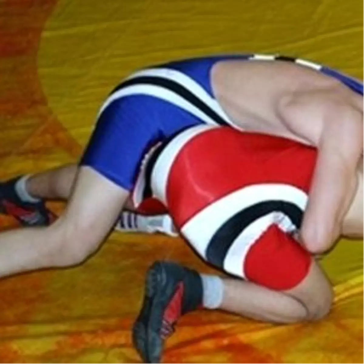 Serbest Stil Milli Takımda Gündüzeri Dönemi