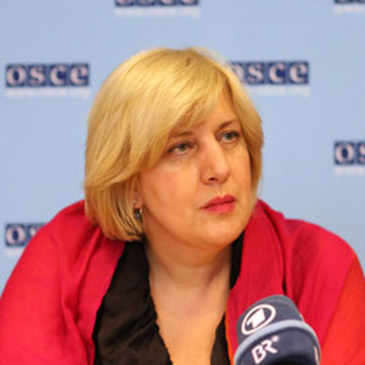 Basın Özgürlüğü İçin Eylem Planı İstedi